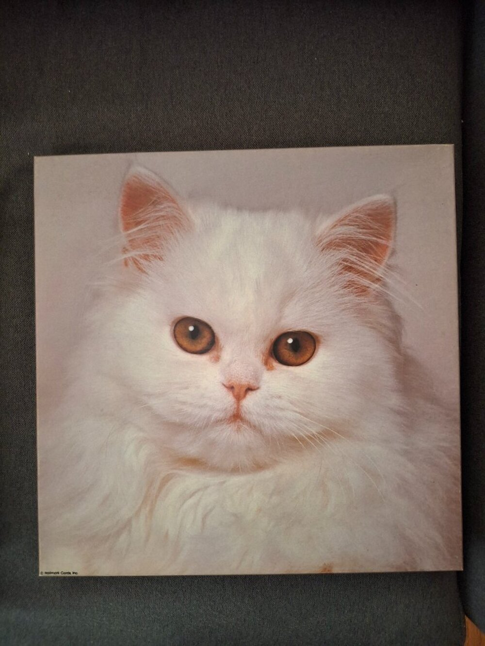 Vintage EUC Springbok jigsaw puzzle "Snowball"